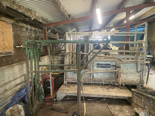 Cattle crush farm supplies - farm,