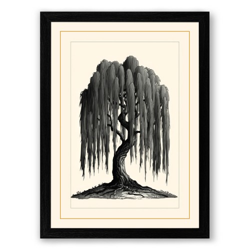 Weeping willow botanical - willow,