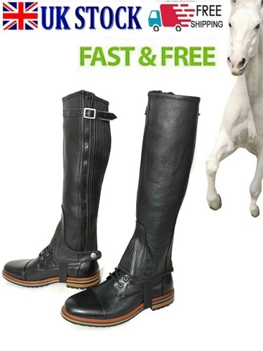 Horse riding equestrian 100 - horse,