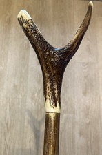 Stag Horn Hazel Walking Stick