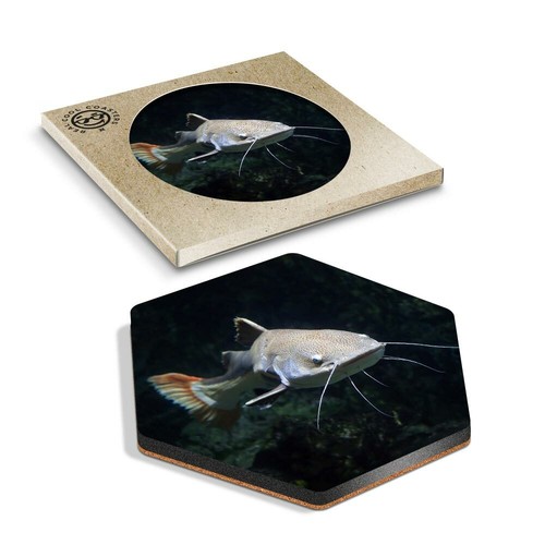 Hexagon coaster redtail - 1,
