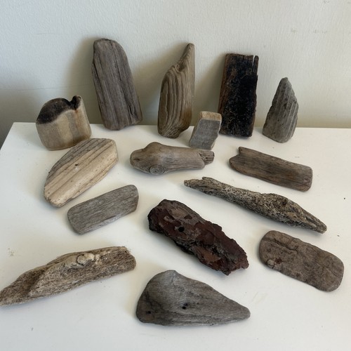 Small shapes driftwood - small,