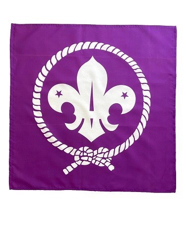 Handmade scouts purple flag - scouts,