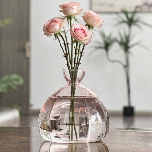 Avocado seed starter vase - seed,