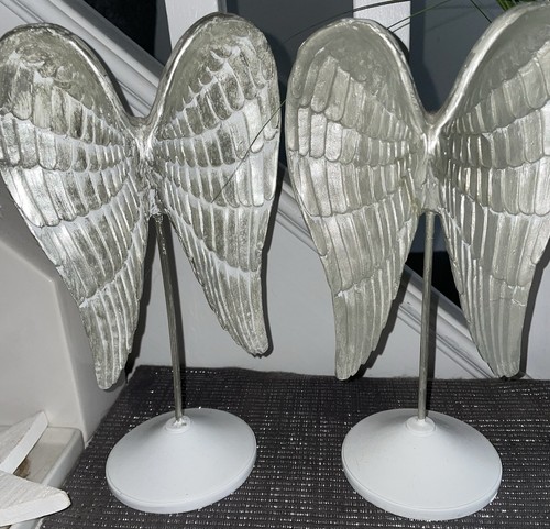 Silver angel wings on - x, 2