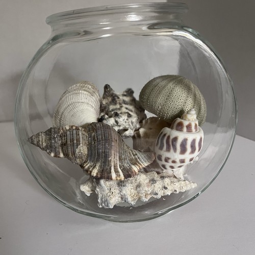 Goldfish bowl with beach - goldfish,
