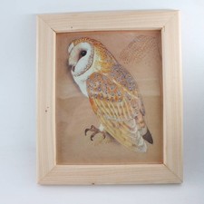 Vintage Barn Owl Bird Print C