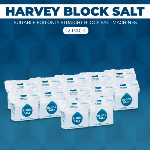 Pack harvey block salt 24 - block,