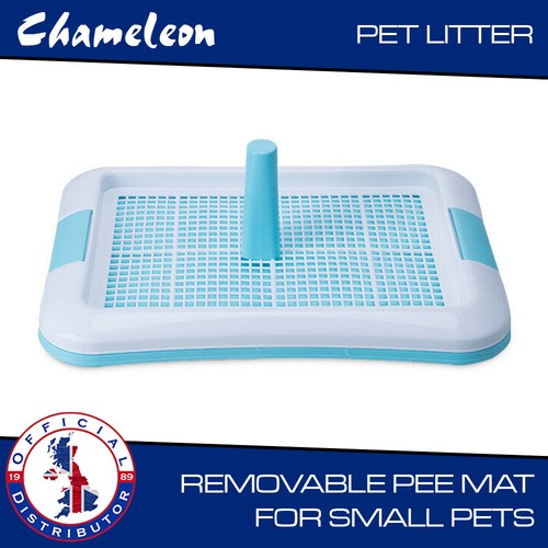 Pet litter tray puppy dog - litter,