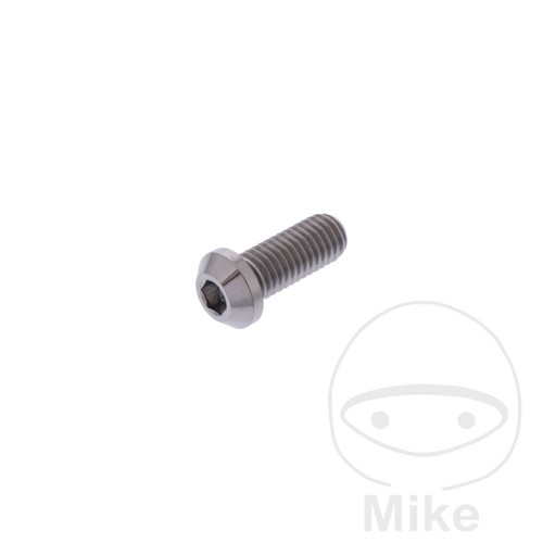 43797 brake disc screw - disc, m8x1.25