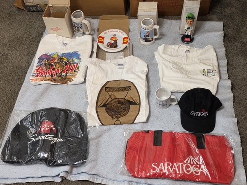 Saratoga race track - race,