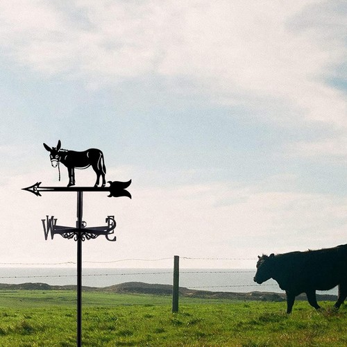Donkey weathervane gift iron - weathervane,