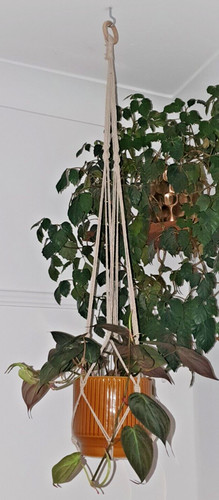 Hand made macrame plant - made, hanger