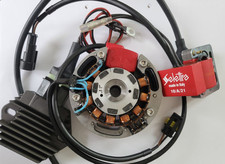 DMon Selettra SML 12V System