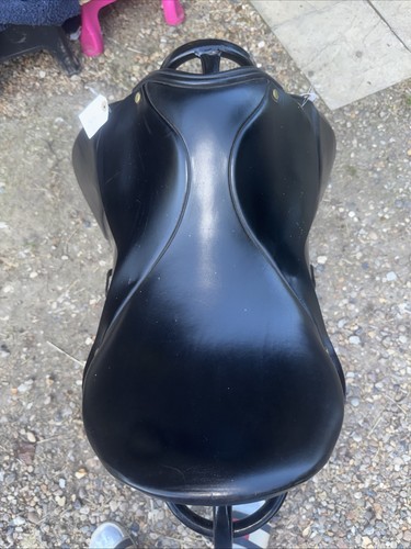 J apollo dressage - m+j,