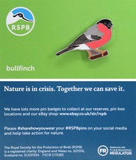 RSPB Pin Badge NIIC Bullfinch P03051