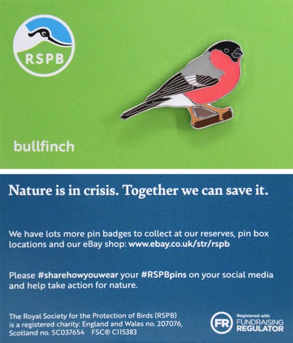 Rspb pin badge niic bullfinch - pin,