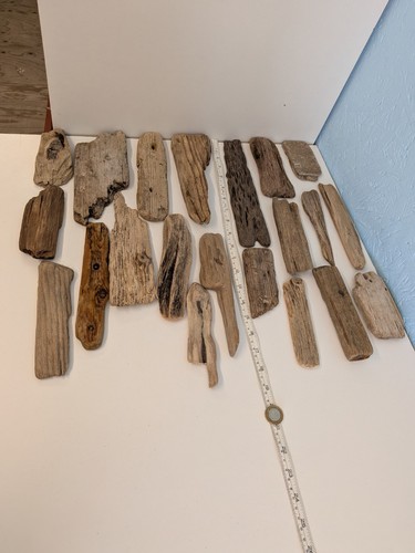 Bundle flat driftwood - bundle,