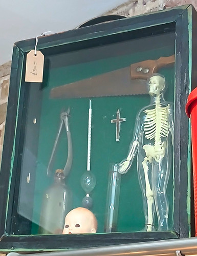 Human skeleton anatomical - skeleton,