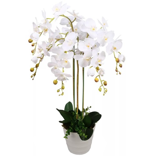 Artificial orchid plant - orchid,