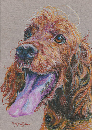 Original dog artwork irish - –,