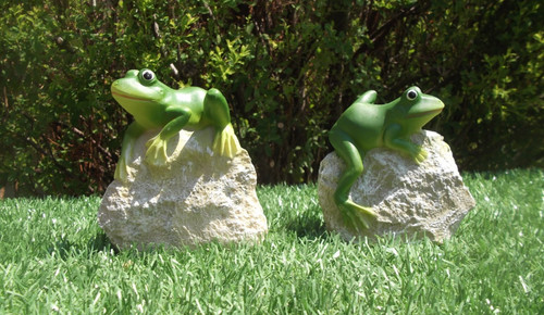 Pair frogs 11cm 10cm x - of,