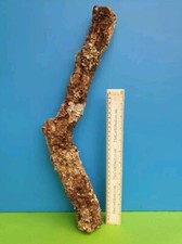CORK BARK BRANCH 47CM LEOPARD