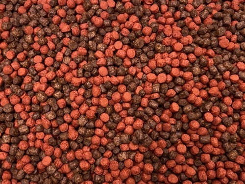 Abf cichlid food pellet - cichlid,