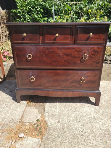 Vintage stag minstrel - stag, of