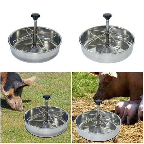 Pig feed trough - pig, piglet