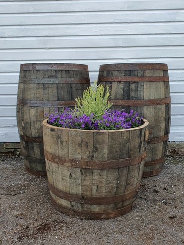 Large 50cm tall - large, oak