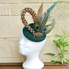 Pheasant and peacock feather