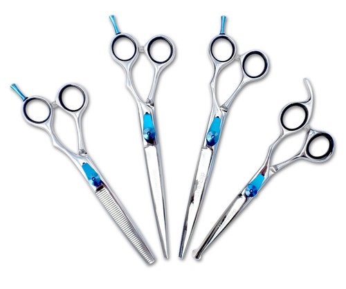 Dog grooming right - grooming, handed