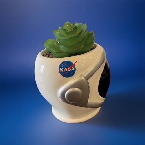 Nasa astronaut helmet - astronaut,