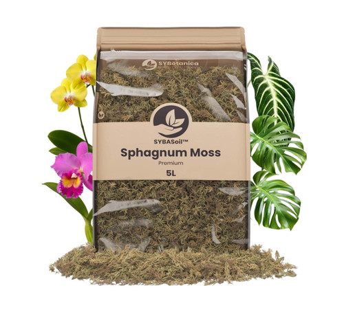 Bundle sybotanica - of,