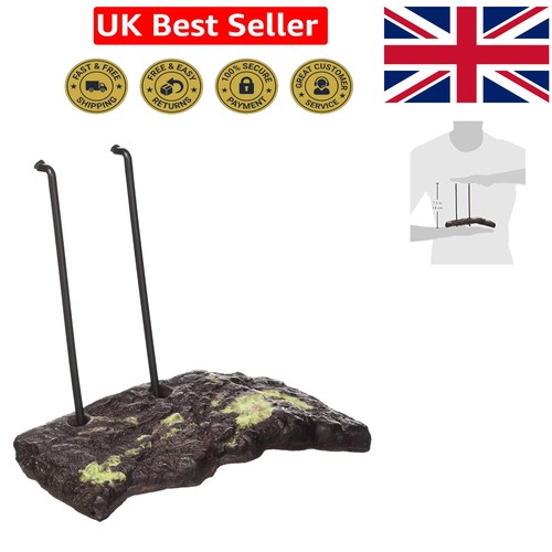 Modern floating turtle dock - floating,