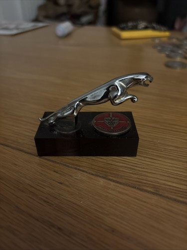Very rare jaguar drivers - jaguar,