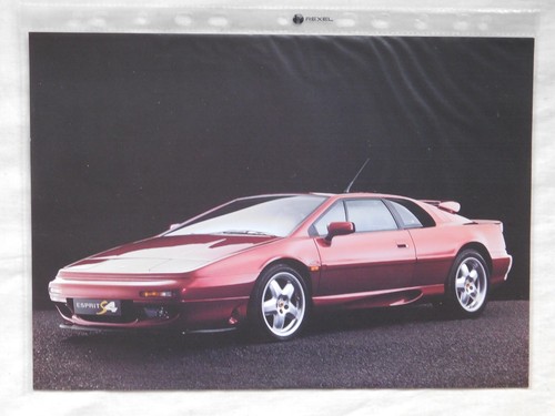 Lotus esprit 1993 - 1993,