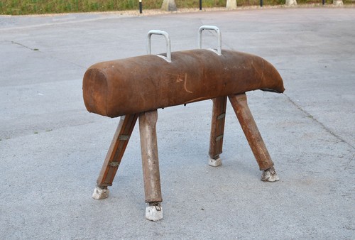 Vintage mid century gym - mid,