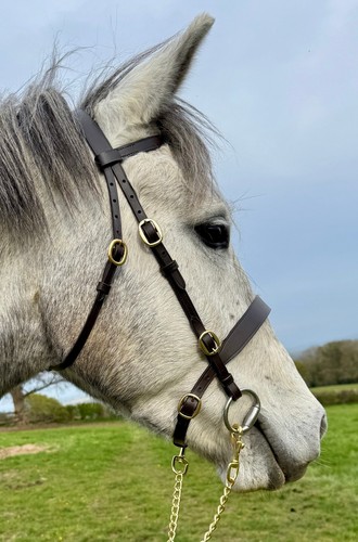 Hand show bridle brown - in-hand, -brown-