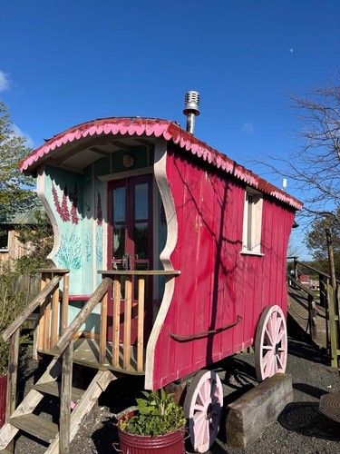 Red showman gypsy wagon - gypsy,