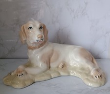 Jargo Spain Pointer Weimaraner