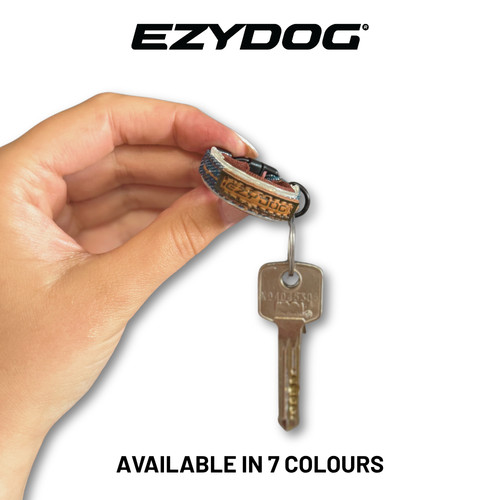 Dog collar keyring - collar,