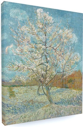 Vincent van gogh the - gogh,
