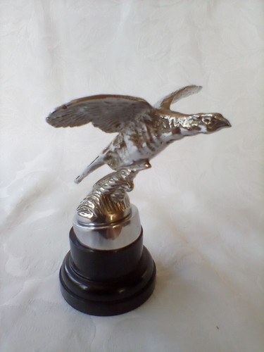 Lejeune pheasant gliding car - pheasant,