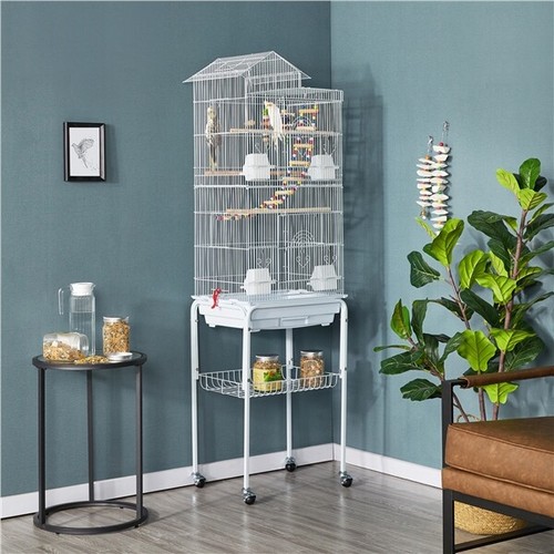 Parrot cage bird - parrot,