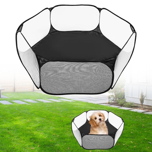 Folding pet cat - pet,