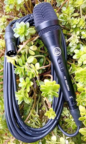Akg perception dynamic - perception, p5