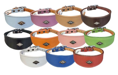 Leather collar for whippet - for,