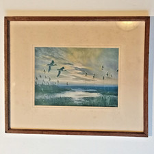 Peter Scott Pair of Teal in Flight Vintage Framed Print 1940 17 x 14 ins frame